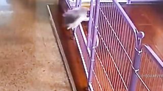 Never give up..????????????
