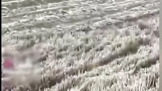 Faney video in china English
