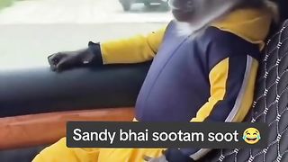 Funny Monkey Enjoy a Car Riding Viral Video