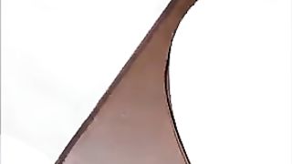Chocolate Swan