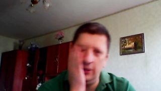 Размышления о моих кошках