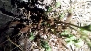 animal lovers 10