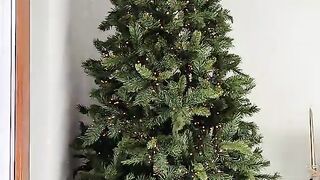Decorate the Christmas tree
