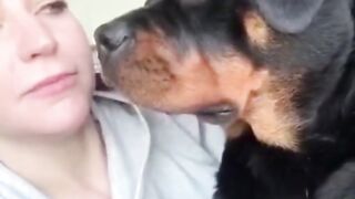 Fun with dogs. Fun with animals.