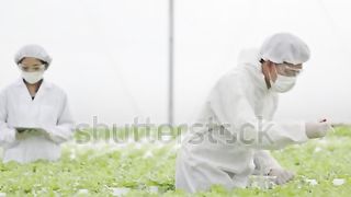 Flower research