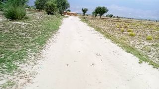 Village travel in beautiful weather