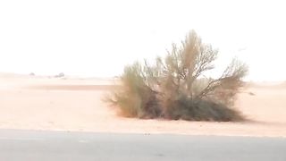 Lovelly cars