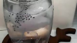 Delicious Cold Drink