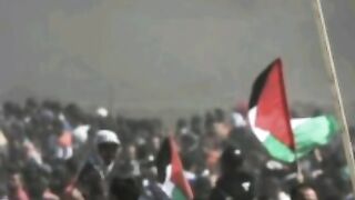 Palestina in Muhammad Qasim's Dreams