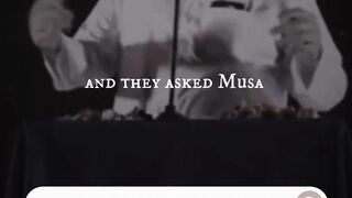 short video 11