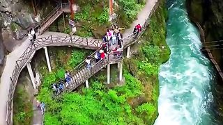 Video nature greenery