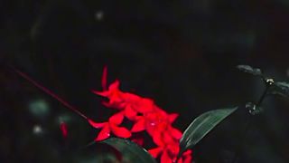 وہ جن کو دیکھ کر رب العالمین مسکراتا ہے