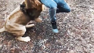 Lion king 6
