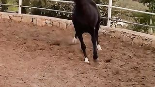 Horse lovers