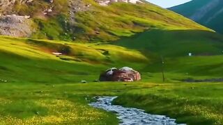 feel_like_a_dream_????????_#nature_#shorts ????️_[Video]_in_2023.