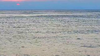 4K Natural View | Peaceful View | Amazing View | #febspotvideo