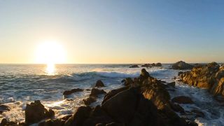4K Nature Video | Paradise | Study | #febspot #viralfebspot | Trending Febspot Video