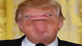 Try Not to LAUGH ????