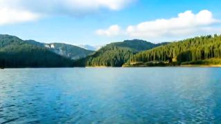 Amazing Nature Video of World | 4K Video | Nature Video | #febspot #febspotviralvideo