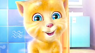 Funny cat 219