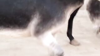 Poor baby 2