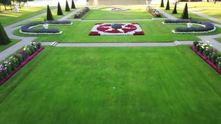 "Un monde de fleurs : L'incroyable jardin caché"