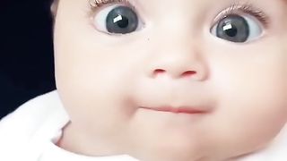 Funny babies videos