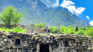 #short video #cool