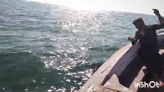 Dally fishings vedio