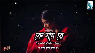 Sujon Majhi Re Lyrics - কে যাস রে ভাটি গাঙ বাইয়া#LofiRemix #SlowedReverb #musicslowed#lofi
