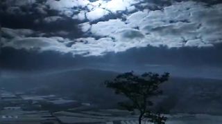 night