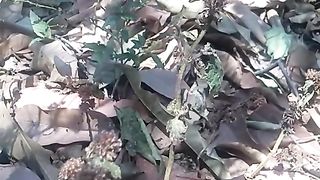 Animal lovers