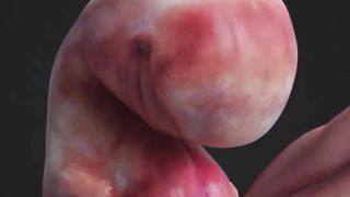 How child are formed