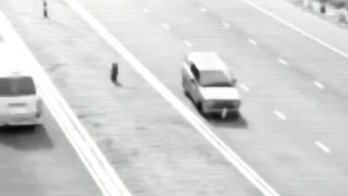 Funny videoa