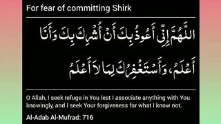 اسلامی معلومات 217