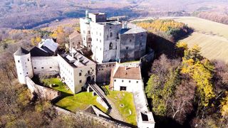 "Château Médiéval et Jardins Topiaires : L'Art Vivant de la Sculpture Végétale"