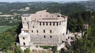 "Le Château du Passé et les Jardins du Présent : L'Éblouissant Art des Topiaires"