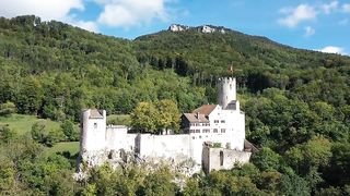"La Magie des Topiaires : Un Voyage au Château Médiéval"