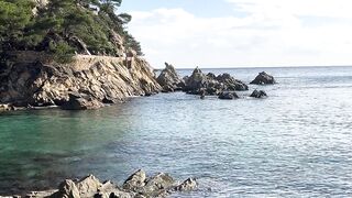 "Le Château Médiéval et ses Jardins Sculptés : Une Oeuvre d'Art Vivante"