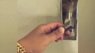 I LAUGHED TO TEARS FUN WITH ANIMALS