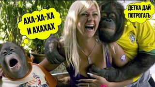 Funny Voice Acting. JOKES
