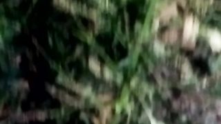 animal lovers 11