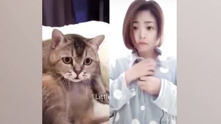 Funniest Animals 2023 ???????? Best Cats and Dogs