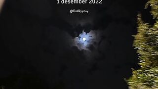 DECEMBER ONE DAY