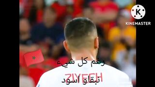 اسود الاطلس les lions atlas