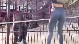 Funny animals videos 2022????-Funniest videos for cats and dogs