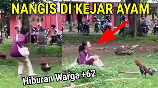 FUNNY VIDEOS TO MAKE LUCKY ||  Collection of funny videos that always make a stomachache ||  Citizen Entertainment +62