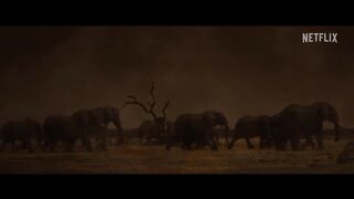 Our Universe | Official Trailer