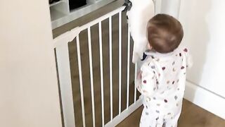 - That time Marni the cockatoo escapes from baby brother Rémi