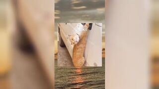 Tiktok Compilation Part 16